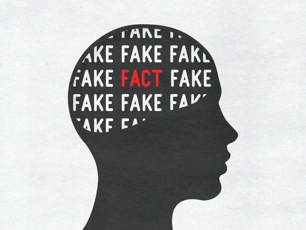 «Fake or Fact» brain in the head